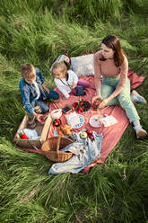 Mutter und Kinder beim Essen auf einem Feld am Wochenende - ZEDF04564