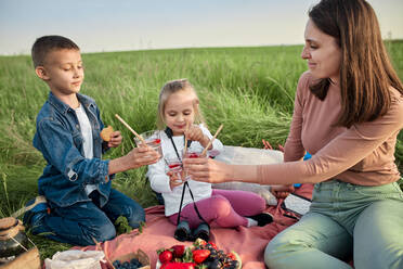 Lächelnde Frau und Kinder stoßen bei einem Picknick mit Wassergläsern an - ZEDF04565