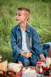 Junge mit Buch schaut beim Picknick auf einem Feld weg - ZEDF04576