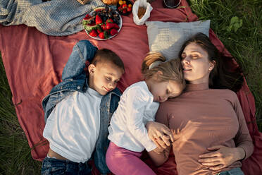 Mutter und Kinder schlafen auf einer Picknickdecke - ZEDF04596