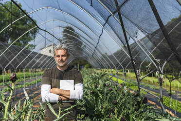 Smiling farmer with tablet PC standing in artichoke greenhouse - MCVF00961