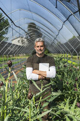 Smiling farmer with tablet PC standing in artichoke greenhouse on sunny day - MCVF00962