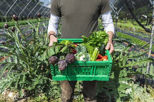 Landwirt mit frisch geerntetem Bio-Gemüse im Gewächshaus - MCVF00975