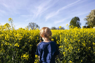 Mädchen mit roten Haaren inmitten von Pflanzen auf einem Rapsfeld - IHF00797