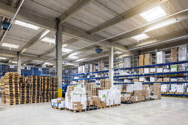 Cardboard boxes arranged in warehouse - PESF03812