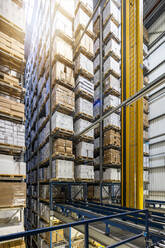 Cardboard boxes arranged on rack in distribution warehouse - PESF03813