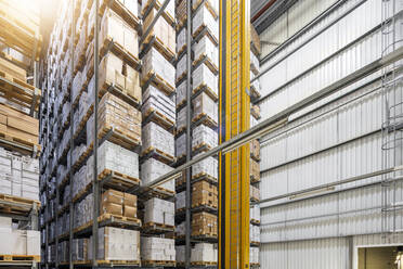 Cardboard boxes arranged on rack in warehouse - PESF03814