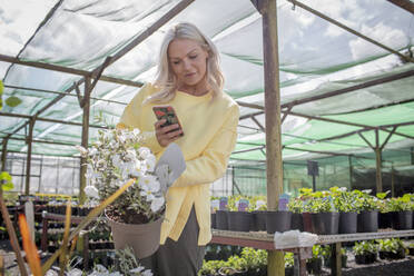 Frau mit Fotohandy beim Einkaufen von Topfblumen in einem Gartengeschäft - CAIF32577