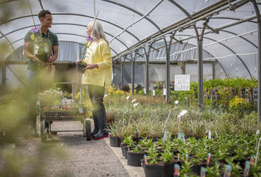 Der Besitzer eines Gartengeschäfts hilft einem Kunden mit Pflanzen im Gewächshaus - CAIF32578
