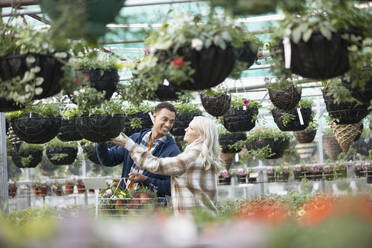 Couple shopping for hanging baskets in garden shop - CAIF32599