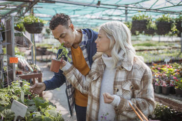 Ehepaar kauft Pflanzen in einem Gartengeschäft - CAIF32610