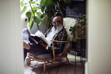 Mature man with beard reading book in armchair at home - CAIF32655