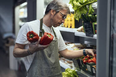 Ladenbesitzerin ordnet rote Paprika im Regal auf dem Biomarkt an - JSRF02045