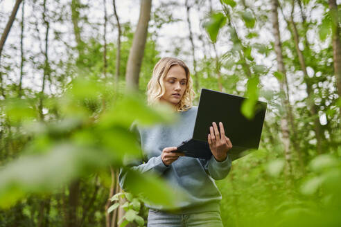 Young freelancer working on laptop in woodland - MMIF00308