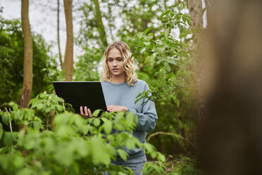 Freiberufler arbeitet am Laptop inmitten von Bäumen im Wald - MMIF00313