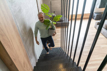 Smiling man holding potted plant moving up on staircase at home - VPIF06118