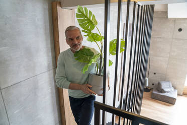 Lächelnder Mann hält Zimmerpflanze auf der Treppe zu Hause - VPIF06119