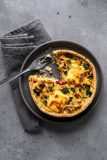 Studioaufnahme einer frisch gebackenen Zucchini-Quiche mit roter Paprika und Zwiebeln - FLMF00816