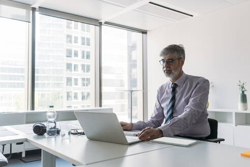 Geschäftsmann mit Laptop am Schreibtisch sitzend im Büro - MEUF05753