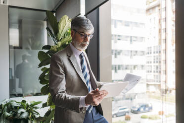 Businessman with documents using tablet PC standing by window in office - MEUF05796