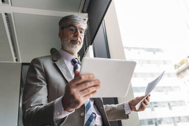 Mature businessman with documents using tablet PC standing by window at office - MEUF05797