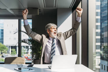 Happy businessman celebrating success sitting at desk in office - MEUF05834