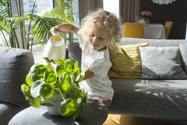 Girl watering plant on coffee table at home - SVKF00187