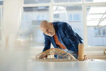 Senior architect holding water bottle analyzing leaf shape model on desk - JOSEF09687