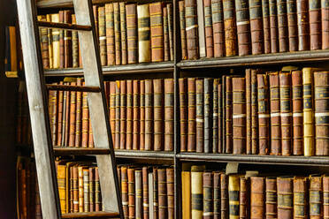 Eine Fülle verschiedener älterer Bücher mit festen Einbänden in dunklen Bücherregalen in der Nähe einer langen Holzleiter in einer hellen Universitätsbibliothek - ADSF34804
