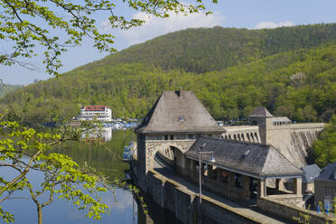 Ederseetalsperre am Grünen Berg, Edertal, Hessen, Deutschland - WIF04508