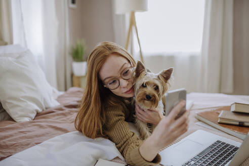 Lächelnde Frau nimmt Selfie mit Haustier Hund durch Smartphone auf dem Bett liegend zu Hause - HAPF03132