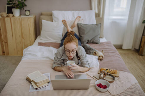 Woman e-learning through laptop lying with coffee cup by pet dog on bed at home - HAPF03154