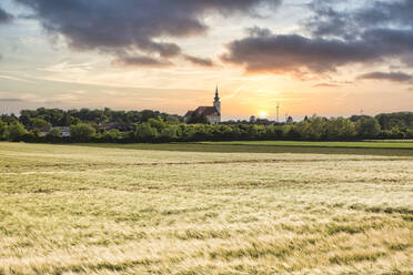 Austria, Lower Austria, Schonkirchen-Reyersdorf, Summer field at sunset with town church in background - AIF00756