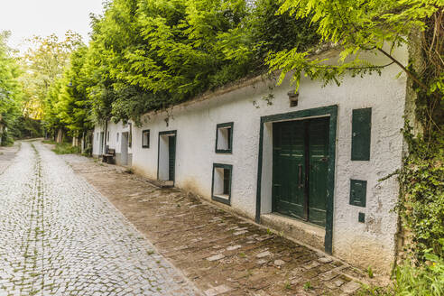 Österreich, Niederösterreich, Poysdorf, Weinkeller in der historischen Kellergasse Radyweg - AIF00760