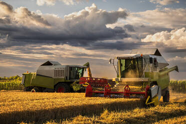 Combine harvester on wheat field under cloudy sky at sunset - NOF00539