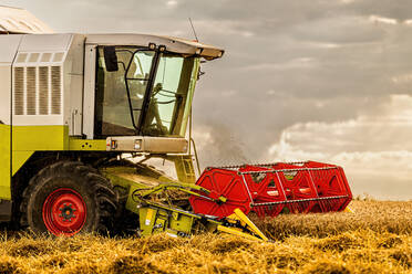 Landwirt mit Mähdrescher bei der Weizenernte auf einem Feld - NOF00540