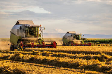 Landwirte bei der Weizenernte mit Mähdrescher auf einem Feld - NOF00544