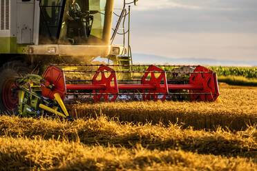 Älterer Landwirt mit Mähdrescher bei der Weizenernte - NOF00545