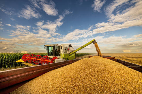 Harvester loading wheat in trailer under cloudy sky - NOF00549