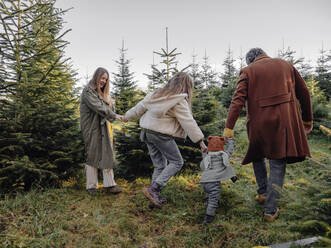 Verspielte Familie, die sich an den Händen hält und in einer Weihnachtsbaumfarm spazieren geht - OGF01251