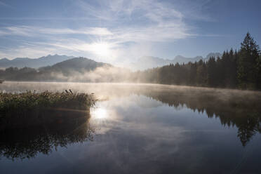 Deutschland, Bayern, Geroldsee bei nebligem Herbstsonnenaufgang - RUEF03687