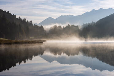 Deutschland, Bayern, Geroldsee am nebligen Herbstmorgen - RUEF03689