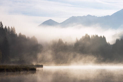 Deutschland, Bayern, Geroldsee am nebligen Herbstmorgen - RUEF03690