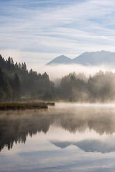 Germany, Bavaria, Geroldsee lake at foggy morning - RUEF03691