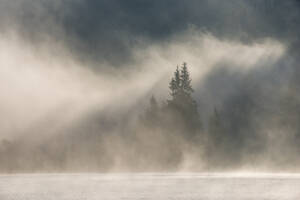 Deutschland, Bayern, Dichter Nebel über dem Geroldsee in der Morgendämmerung - RUEF03692