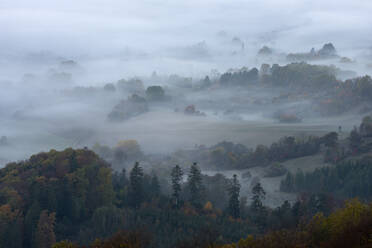 Blick auf die Schwäbische Alb, eingehüllt in dichten Morgennebel - RUEF03707