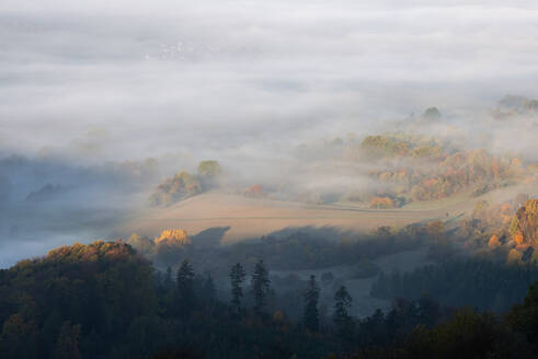 Blick auf die Schwäbische Alb, eingehüllt in dichten Morgennebel - RUEF03708