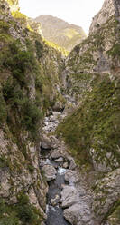 Spanien, Provinz Leon, Leon, Fluss, der durch eine enge Schlucht im Gebirge Picos de Europa fließt - MMPF00060