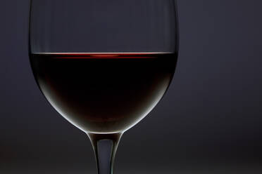 Studio shot of glass of red wine - JTF02075