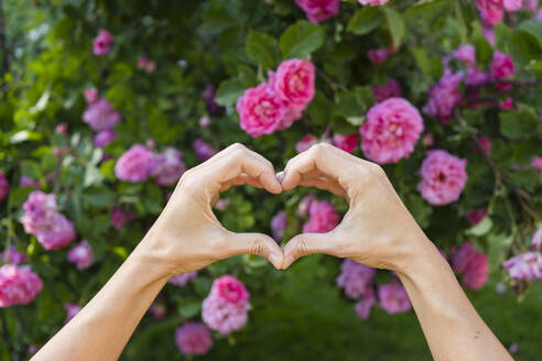 Hände der Frau machen Herzform vor rosa Rosen - SVKF00225
